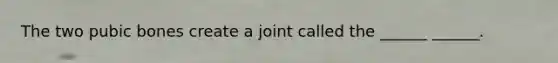 The two pubic bones create a joint called the ______ ______.