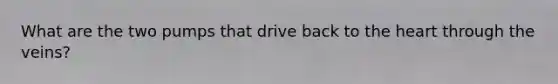 What are the two pumps that drive back to the heart through the veins?