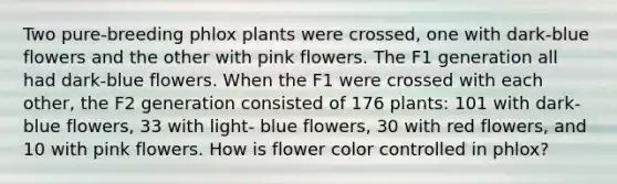 Two pure-breeding phlox plants were crossed, one with dark-blue flowers and the other with pink flowers. The F1 generation all had dark-blue flowers. When the F1 were crossed with each other, the F2 generation consisted of 176 plants: 101 with dark-blue flowers, 33 with light- blue flowers, 30 with red flowers, and 10 with pink flowers. How is flower color controlled in phlox?