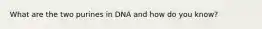 What are the two purines in DNA and how do you know?