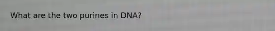 What are the two purines in DNA?