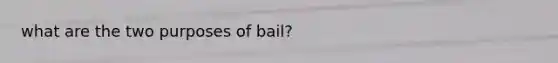 what are the two purposes of bail?