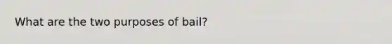 What are the two purposes of bail?