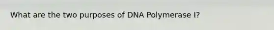 What are the two purposes of DNA Polymerase I?