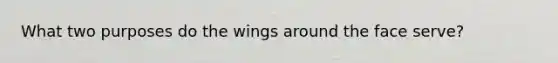 What two purposes do the wings around the face serve?