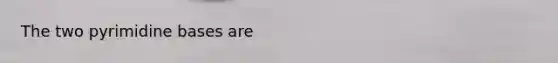 The two pyrimidine bases are