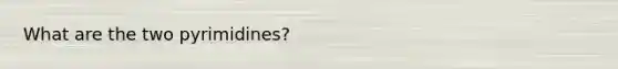 What are the two pyrimidines?