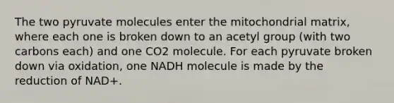 The two pyruvate molecules enter the mitochondrial matrix, where each one is broken down to an acetyl group (with two carbons each) and one CO2 molecule. For each pyruvate broken down via oxidation, one NADH molecule is made by the reduction of NAD+.