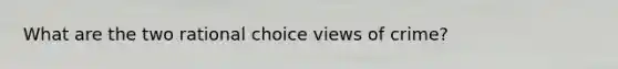 What are the two rational choice views of crime?