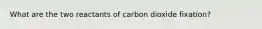 What are the two reactants of carbon dioxide fixation?