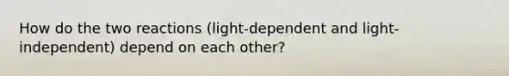 How do the two reactions (light-dependent and light-independent) depend on each other?