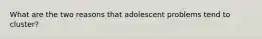 What are the two reasons that adolescent problems tend to cluster?