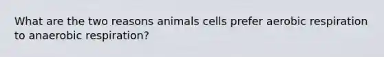 What are the two reasons animals cells prefer aerobic respiration to anaerobic respiration?