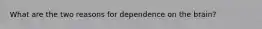 What are the two reasons for dependence on the brain?