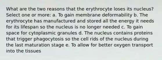 What are the two reasons that the erythrocyte loses its nucleus? Select one or more: a. To gain membrane deformability b. The erythrocyte has manufactured and stored all the energy it needs for its lifespan so the nucleus is no longer needed c. To gain space for cytoplasmic granules d. The nucleus contains proteins that trigger phagocytosis so the cell rids of the nucleus during the last maturation stage e. To allow for better oxygen transport into the tissues