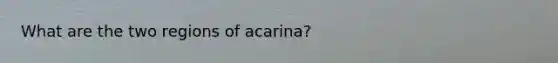 What are the two regions of acarina?