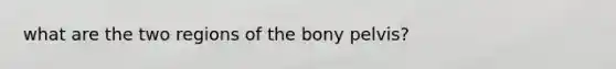 what are the two regions of the bony pelvis?