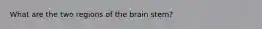 What are the two regions of the brain stem?