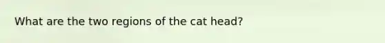 What are the two regions of the cat head?