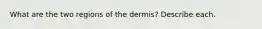 What are the two regions of the dermis? Describe each.