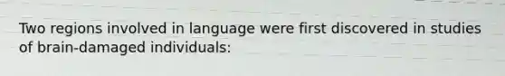 Two regions involved in language were first discovered in studies of brain-damaged individuals: