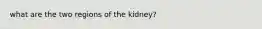 what are the two regions of the kidney?