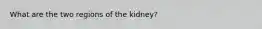 What are the two regions of the kidney?