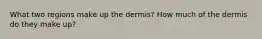 What two regions make up the dermis? How much of the dermis do they make up?