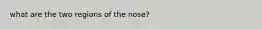 what are the two regions of the nose?