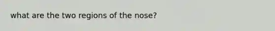 what are the two regions of the nose?