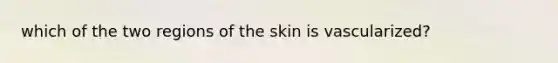 which of the two regions of the skin is vascularized?