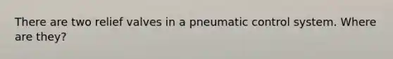 There are two relief valves in a pneumatic control system. Where are they?
