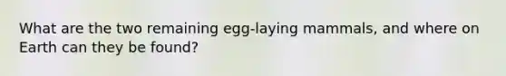 What are the two remaining egg-laying mammals, and where on Earth can they be found?