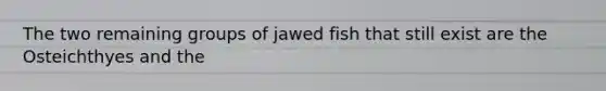 The two remaining groups of jawed fish that still exist are the Osteichthyes and the