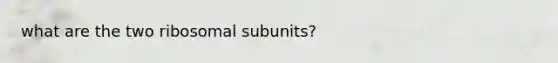 what are the two ribosomal subunits?