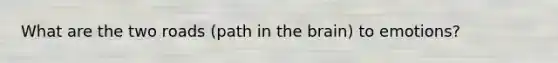 What are the two roads (path in the brain) to emotions?