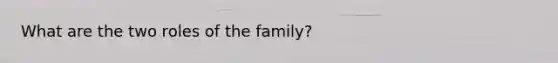 What are the two roles of the family?