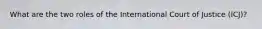 What are the two roles of the International Court of Justice (ICJ)?