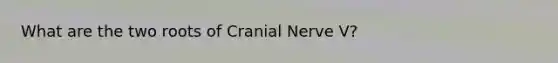 What are the two roots of Cranial Nerve V?