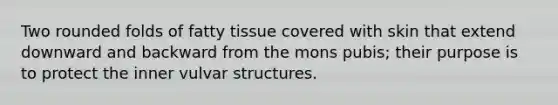 Two rounded folds of fatty tissue covered with skin that extend downward and backward from the mons pubis; their purpose is to protect the inner vulvar structures.