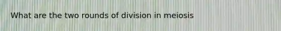 What are the two rounds of division in meiosis