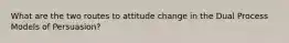 What are the two routes to attitude change in the Dual Process Models of Persuasion?