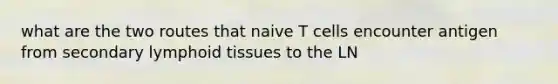 what are the two routes that naive T cells encounter antigen from secondary lymphoid tissues to the LN