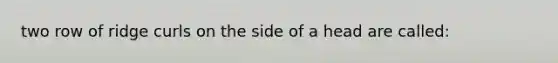 two row of ridge curls on the side of a head are called: