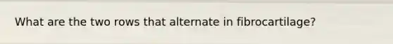 What are the two rows that alternate in fibrocartilage?