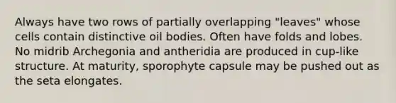 Always have two rows of partially overlapping "leaves" whose cells contain distinctive oil bodies. Often have folds and lobes. No midrib Archegonia and antheridia are produced in cup-like structure. At maturity, sporophyte capsule may be pushed out as the seta elongates.