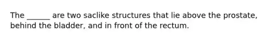 The ______ are two saclike structures that lie above the prostate, behind the bladder, and in front of the rectum.