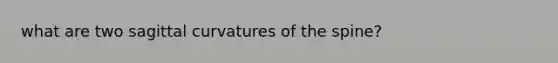 what are two sagittal curvatures of the spine?