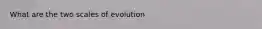 What are the two scales of evolution