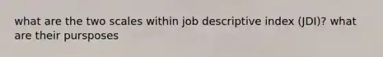 what are the two scales within job descriptive index (JDI)? what are their pursposes